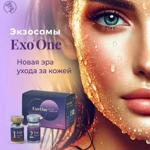 Экзосомы