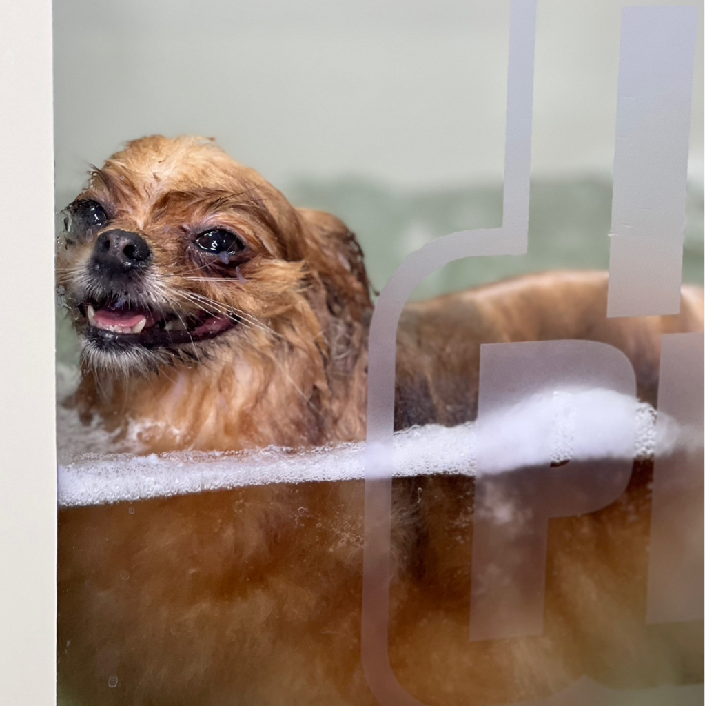 Лечебная озонотерапия с линейкой ISB Zeolithe