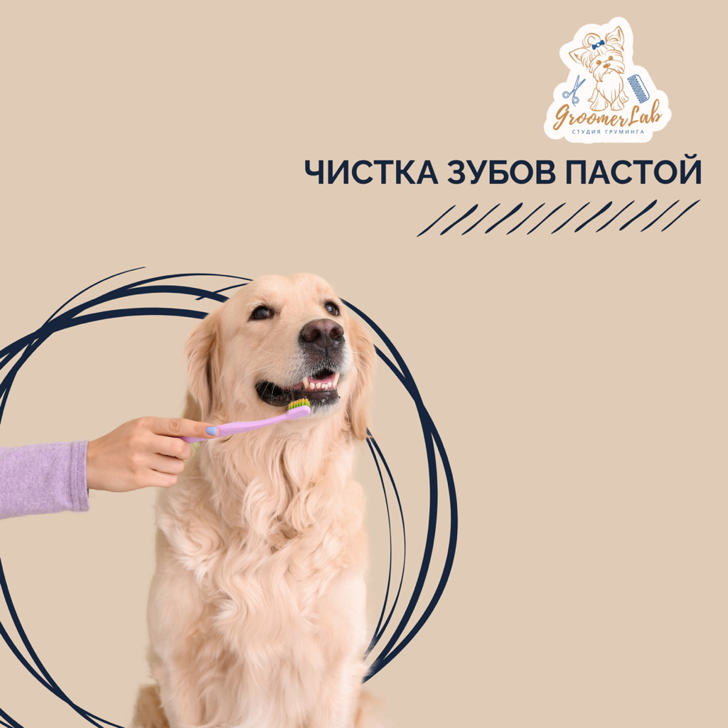 Гигиеническая чистка зубов пастой