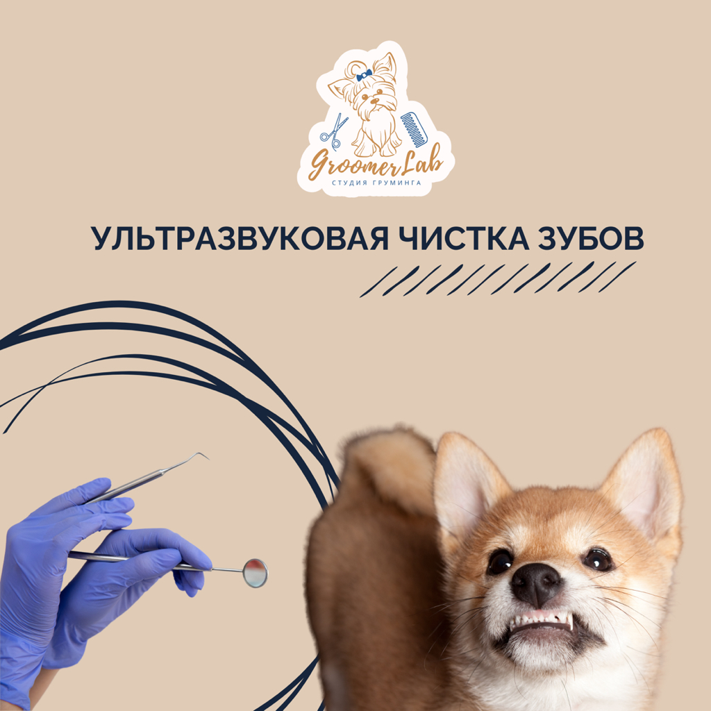 Ультразвуковая чистка зубов (удаление камней)