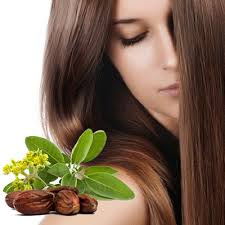 Профессиональный уход OLORCHEE с маслом Арганы и Жожоба для поврежденных волос