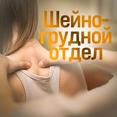 Шейно-грудной отдел