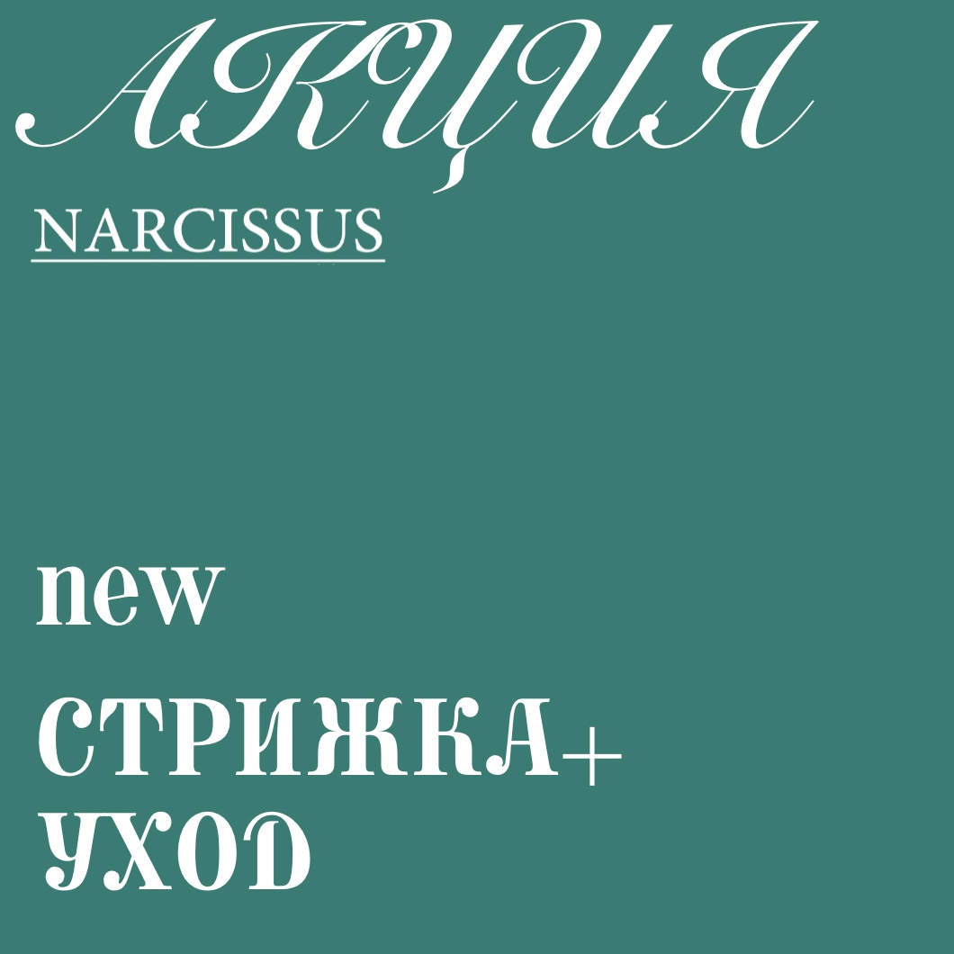 АКЦИЯ «NEW стрижка + уход за 1290» до 30.06.25
