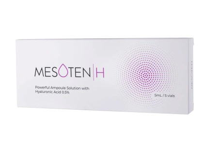 Mesoten H