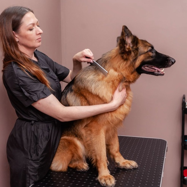 Азарова Екатерина