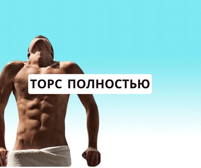 Торс полностью