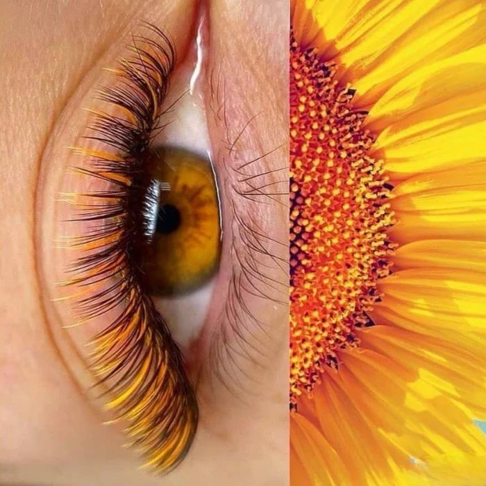 Эффект Амбре  Цветные ресницы