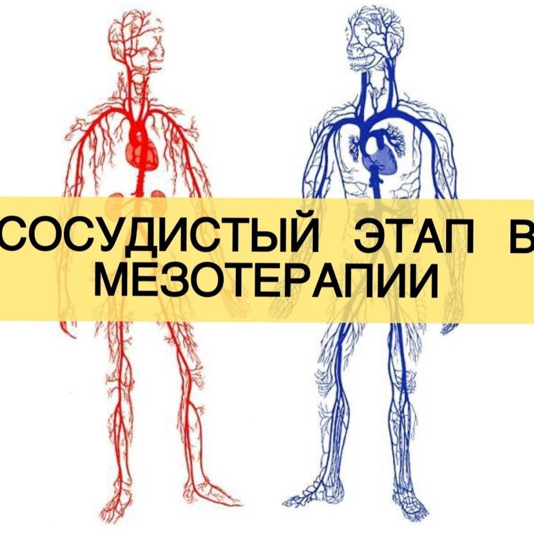 Капилляромезотерапия (сосудистый запуск)