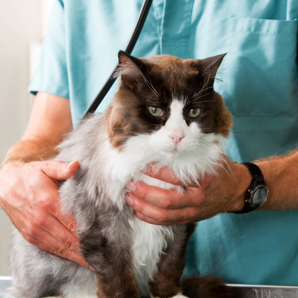 Прием по промокоду