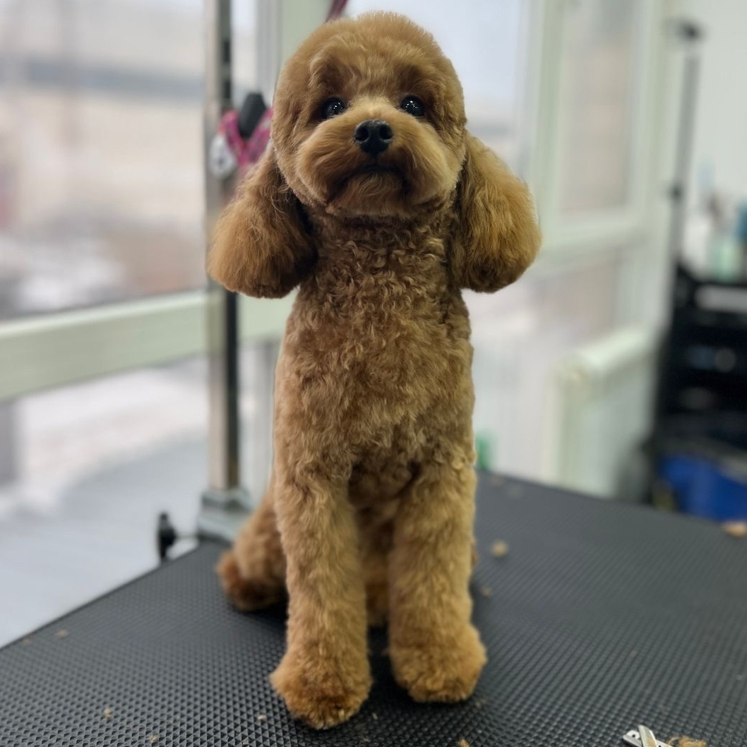 Комплекс косметика Мальтипу