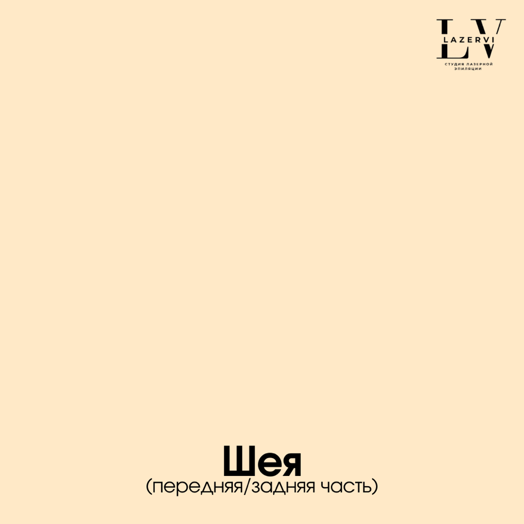 Шея (передняя/задняя часть)