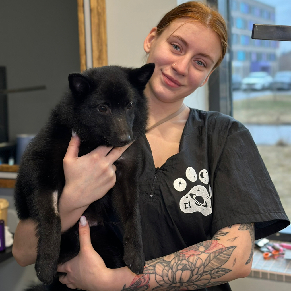 К. Кристина