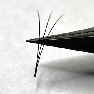 Коррекция ресниц 2/3/4D