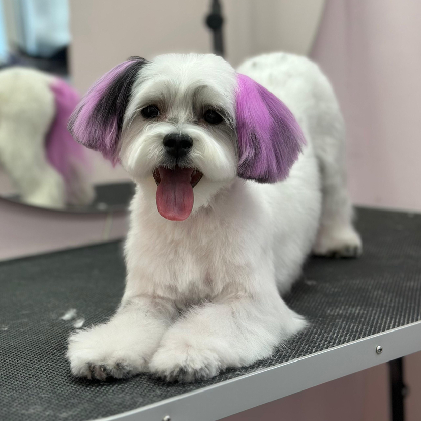 Окрашивание