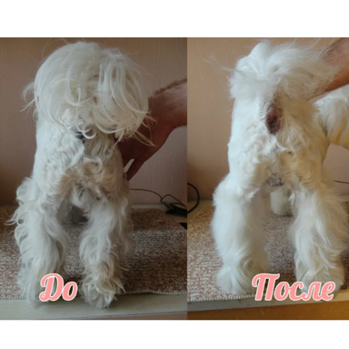 Стрижка паховой области