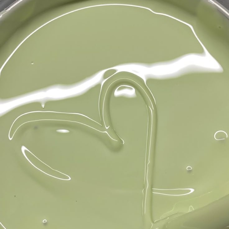 Лицо одна зона