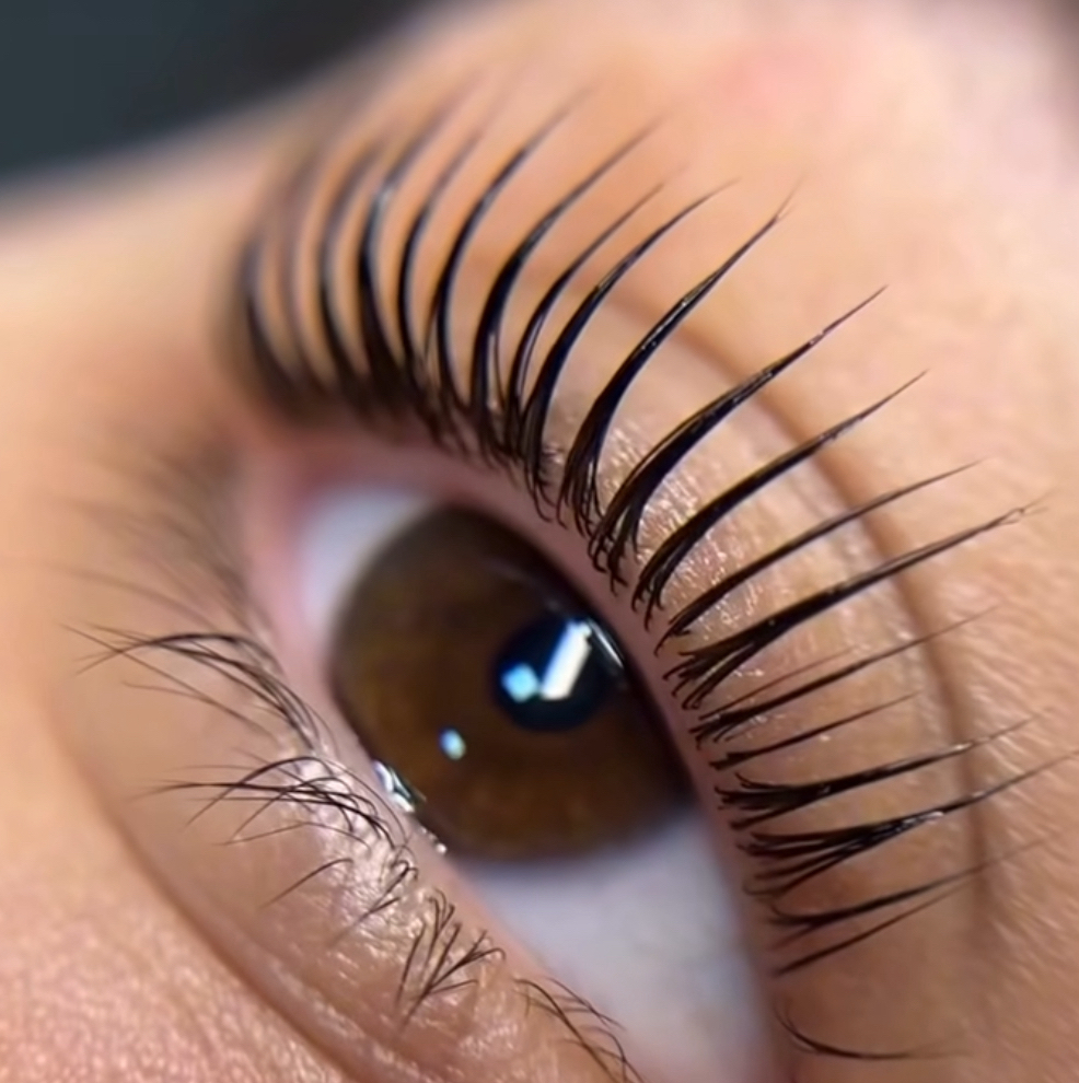 Թարթիչների Լամինացիա