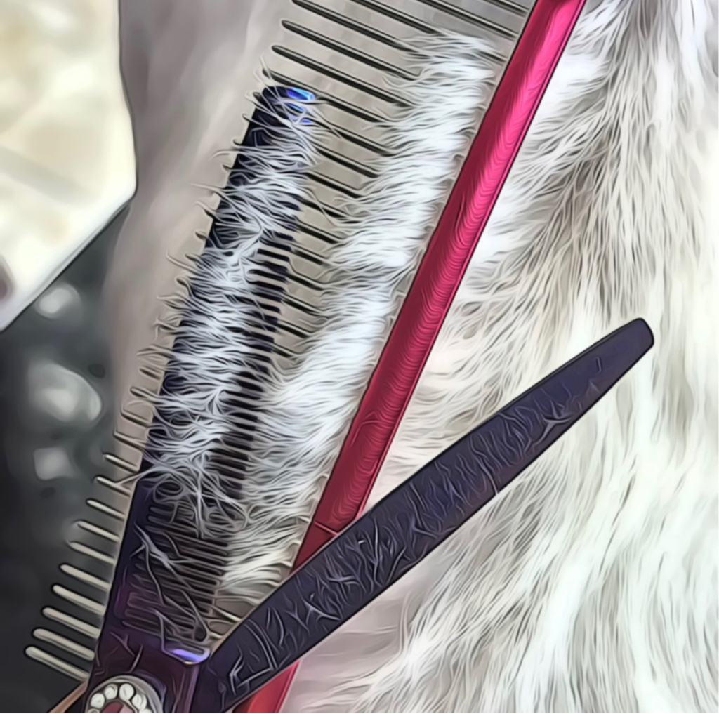 Гигиена + стрижка от 1 до 5 кг