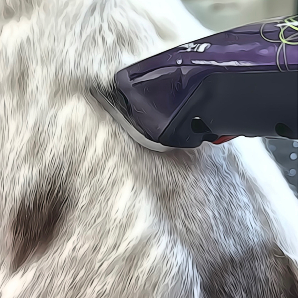 Бритье под машинку + гигиена от 16 кг