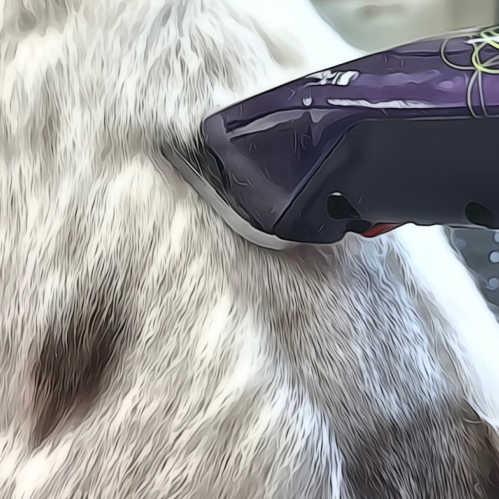 Бритье под машинку + гигиена от 11 до 15 кг