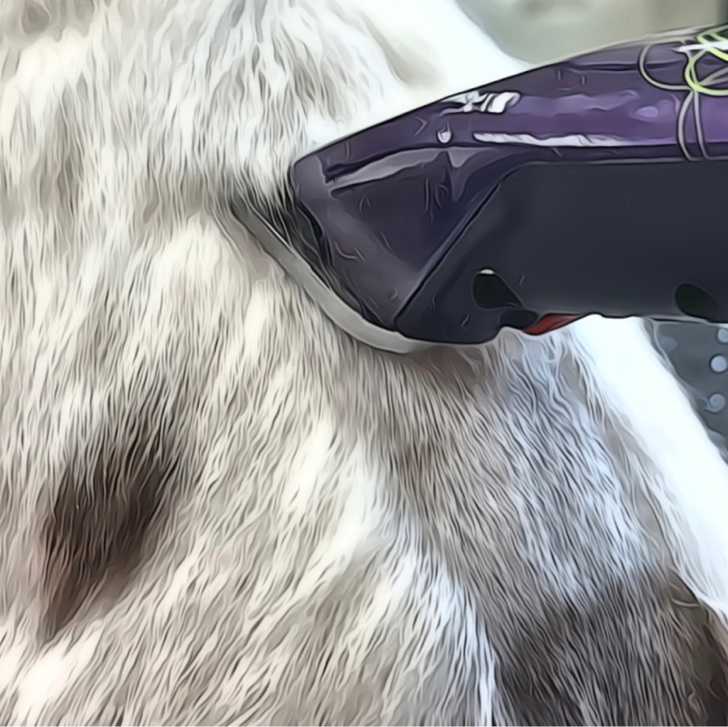 Бритье под машинку + гигиена от 1 до 5 кг