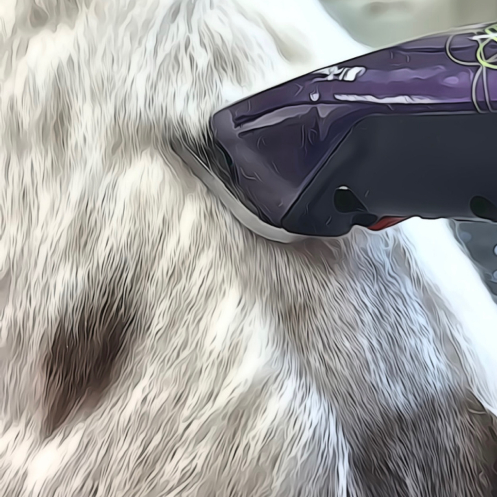 Бритье под машинку + гигиена от 6 до 10 кг