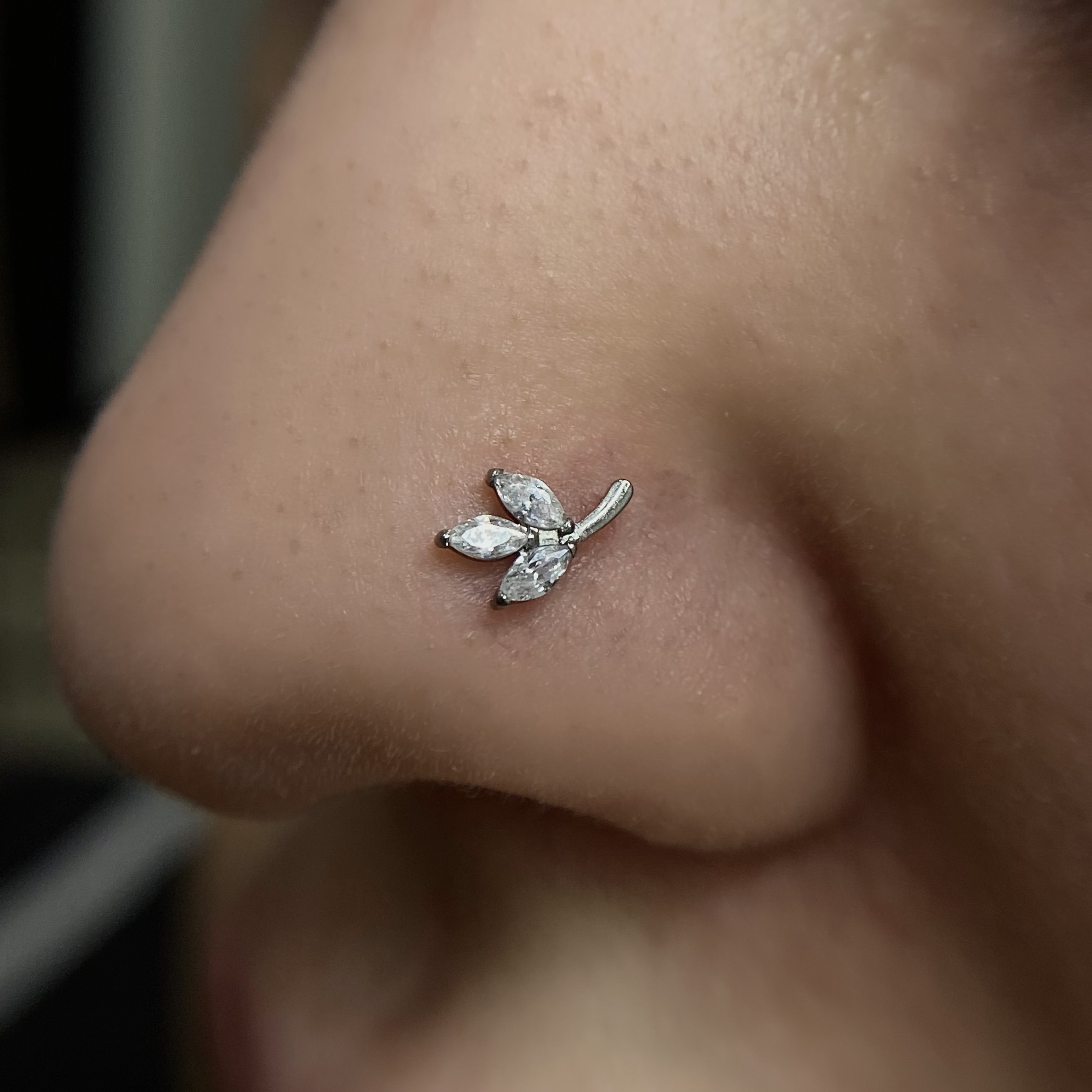 Нострил (крыло носа)