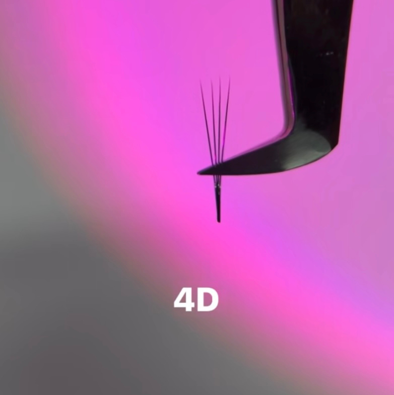 4D