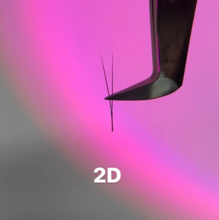 2D