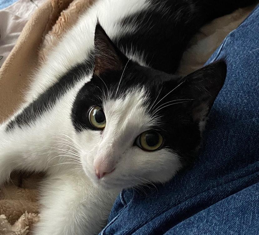 Наращивание ногтей S