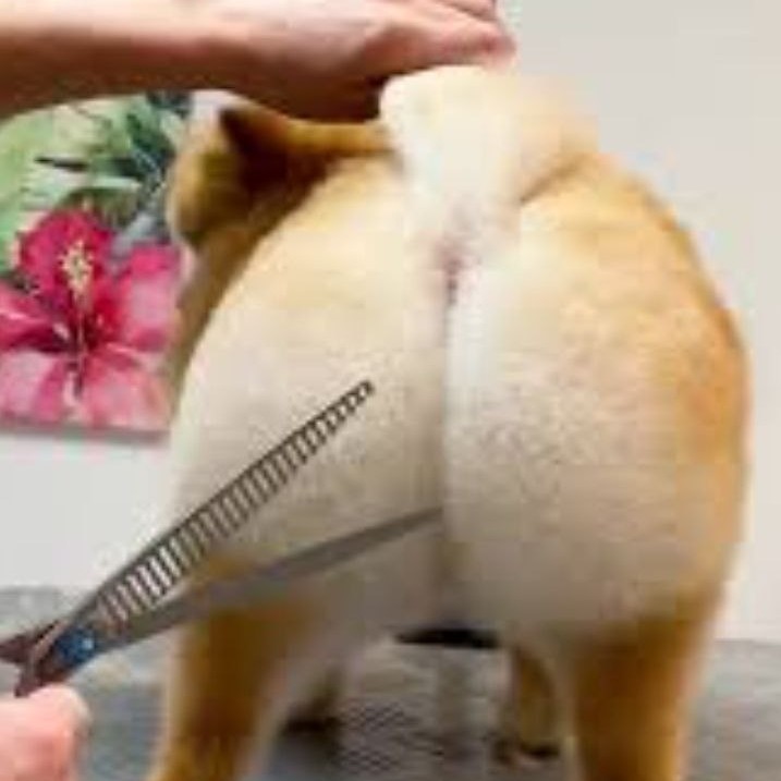 Окантовка зоны хвоста