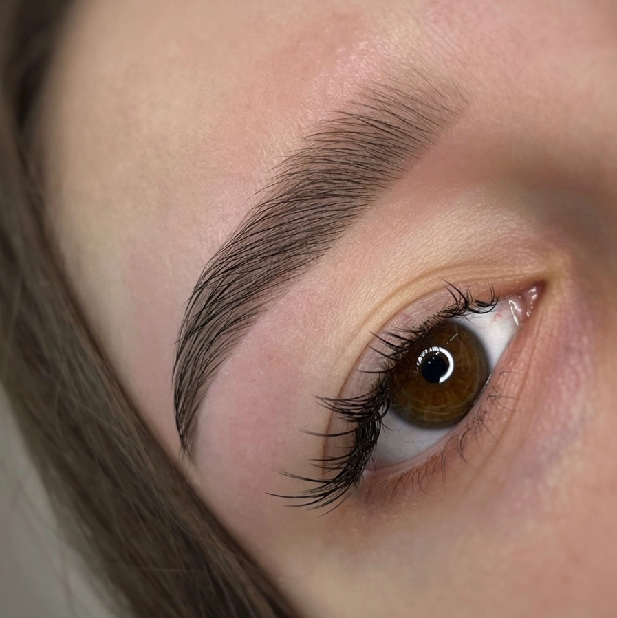 Коррекция воск/пинцет+ окрашивание красителем