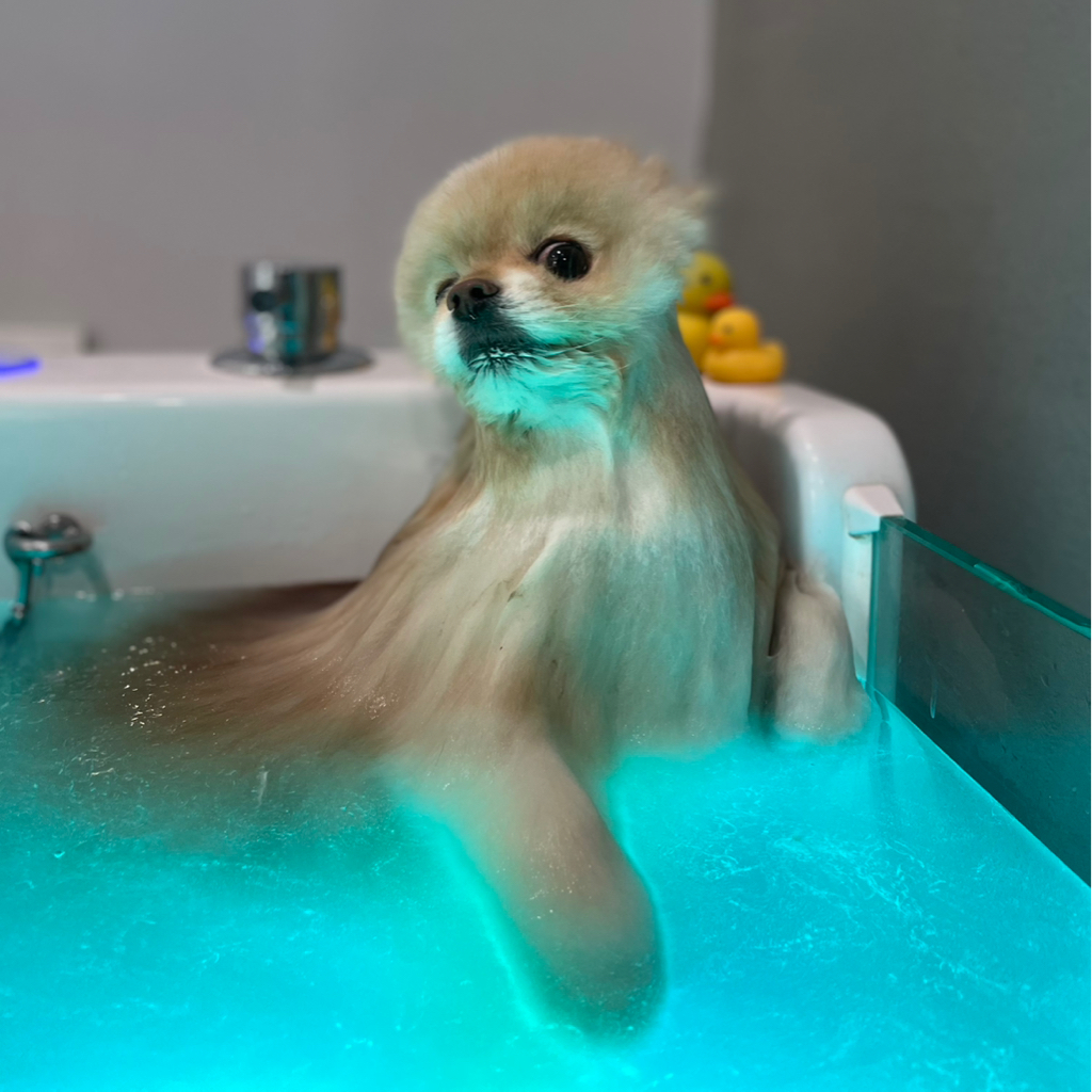 SPA -отдельная процедура от комплекса (до 6 кг)