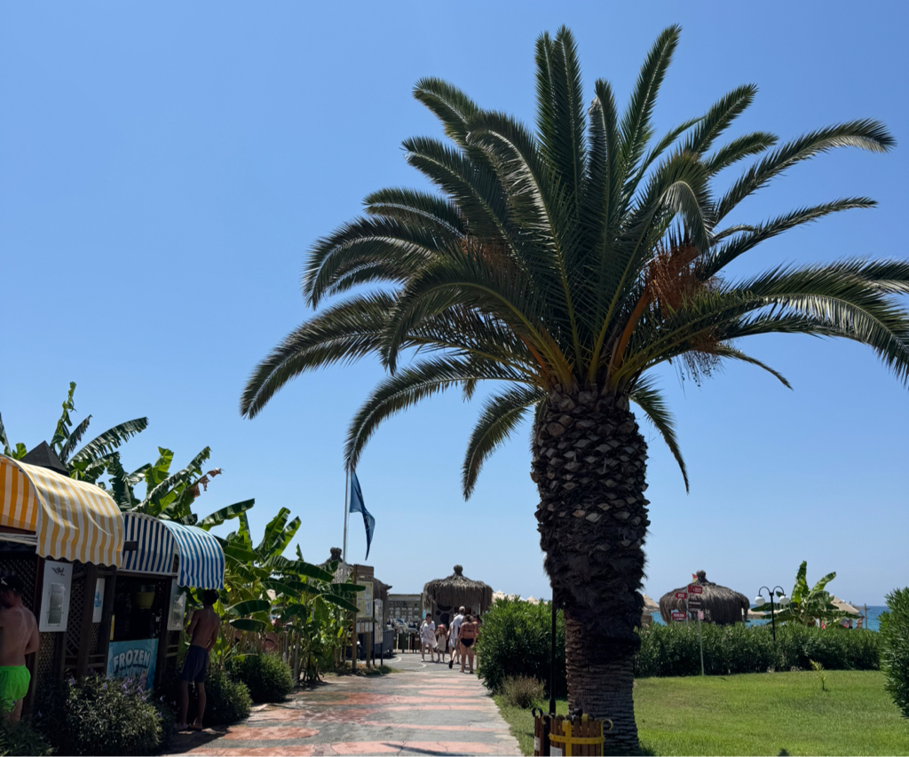 Камальдинова Дарья Игоревна