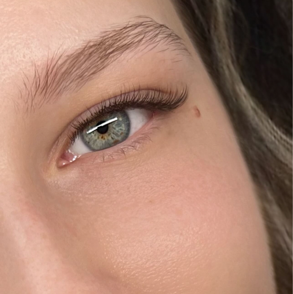 Lash: 2D volume