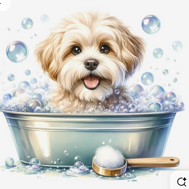 Ши-тцу гигиена без стрижки/ уход между основными посещениями