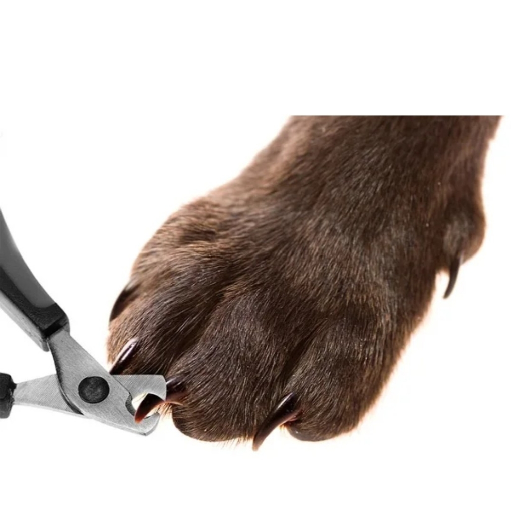 Стрижка когтей средние породы собак