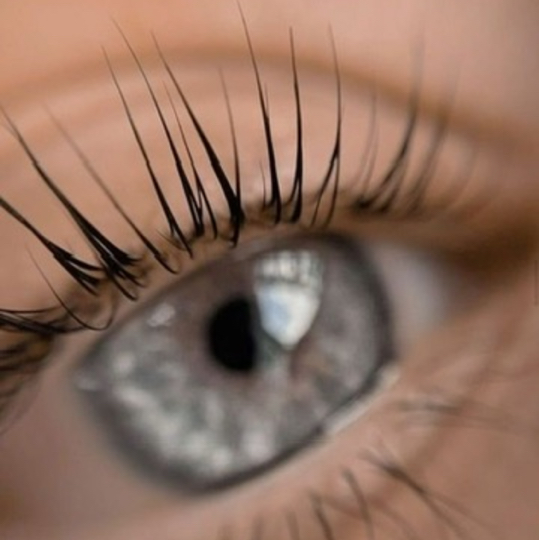 Ламинирование ресниц + lashbotox