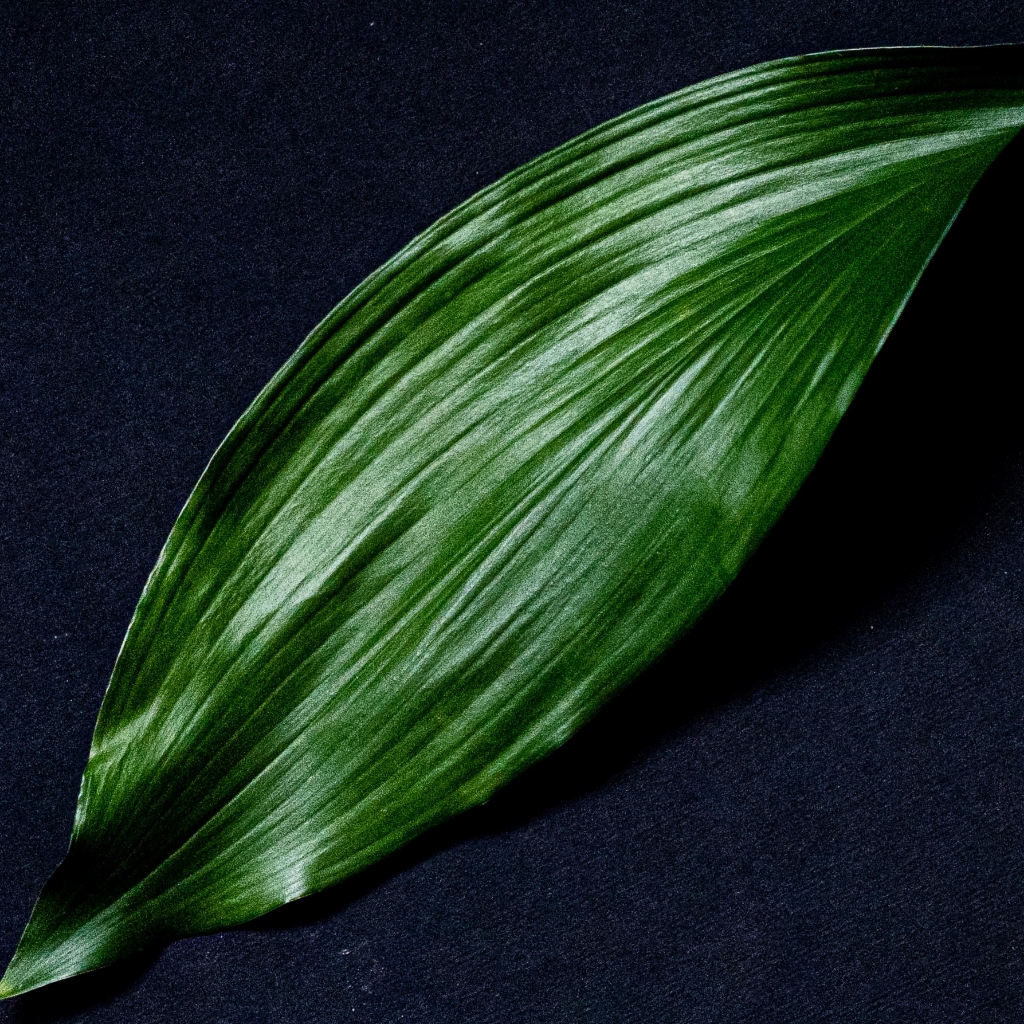 "Anti-Age" Руки полностью