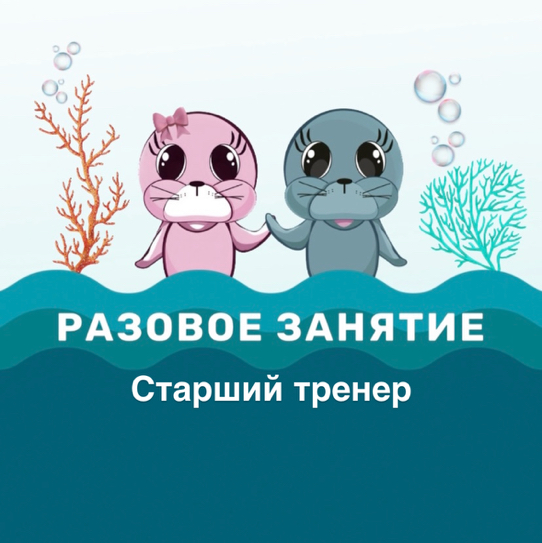 Разовое занятие ст.тренер