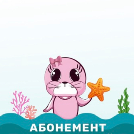 Занятие по абонементу ст. тренер