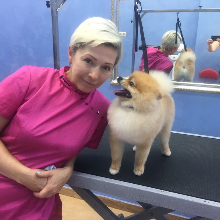 Виолетта