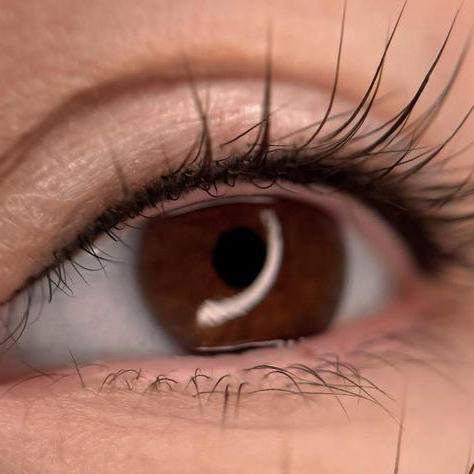 Межресничное пространство