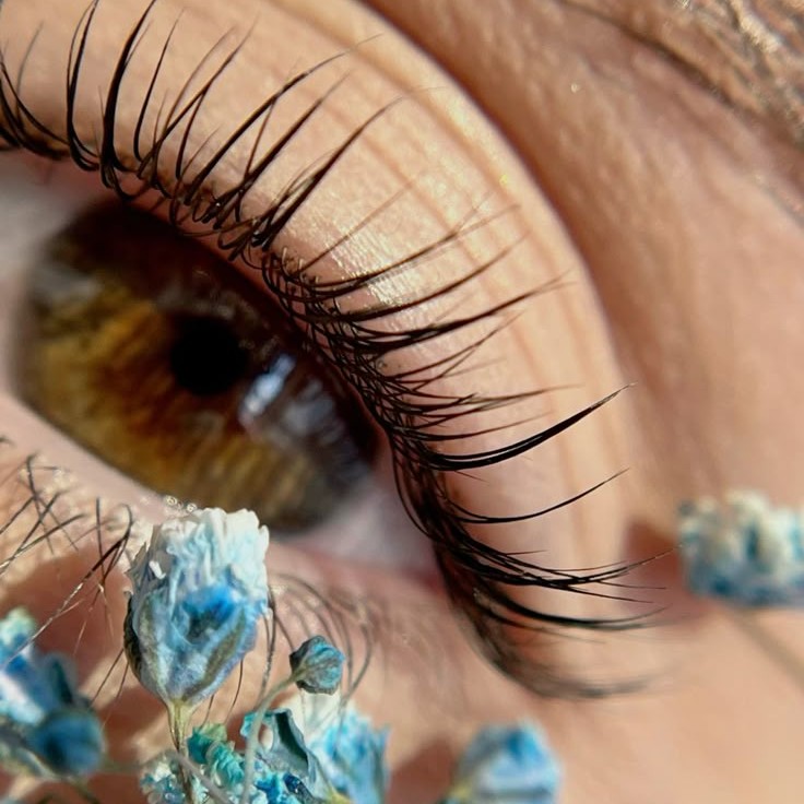 Окрашивание ресниц