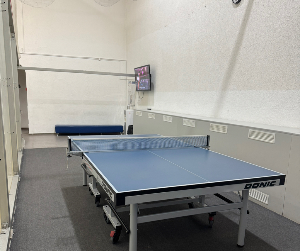 Настольный теннис