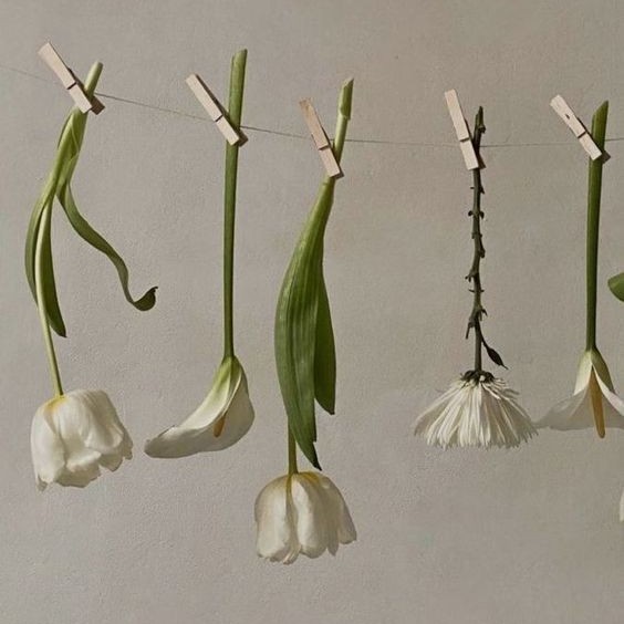 Депиляция воском бикини глубокое