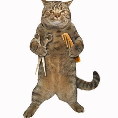 Котик стрижет
