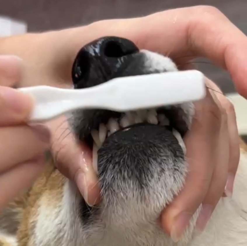 Механическая чистка зубов