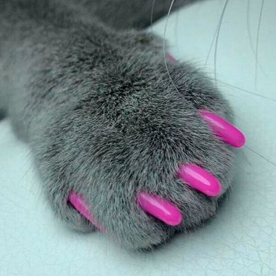 Антицарапки