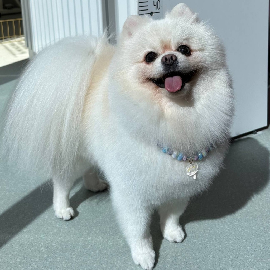 Разбор колтунов